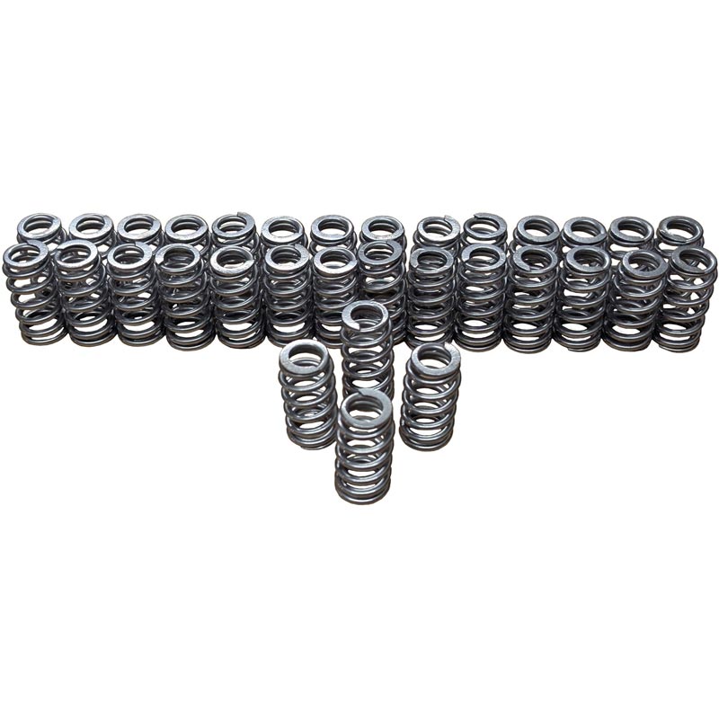 CNC Fabrication Stage 1 Beehive Valve Spring Kit 421075
