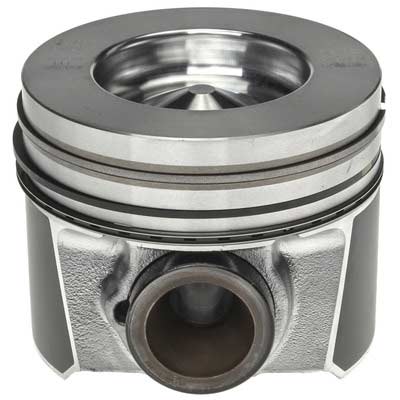 MAHLE 224-3666WR Piston With Rings (Standard)