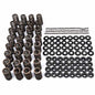 PPE 110090050 Valve Spring Kit