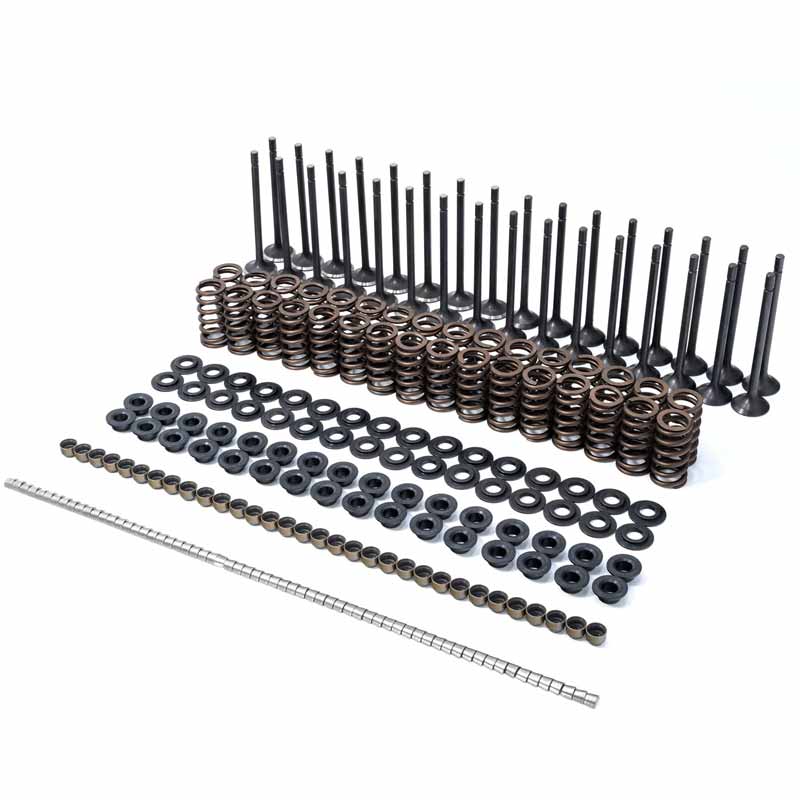 PPE 110090080 Valve & Valve Spring Kit