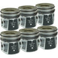 Industrial Injection X-Series Piston Kit - Stock Replacement (Standard) 24S101