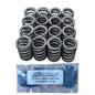 CNC Fabrication 421006 Valve Spring Kit With Shims