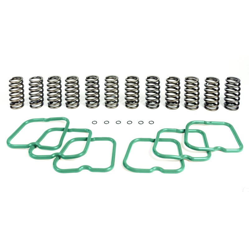 Pacbrake HP10240 Basic Valve Spring Kit (12 Springs)
