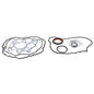 Motorcraft ESK-1 Lower Gasket & Seal Kit