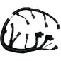 Bostech WH02501 Fuel Injector (FICM) Wiring Harness